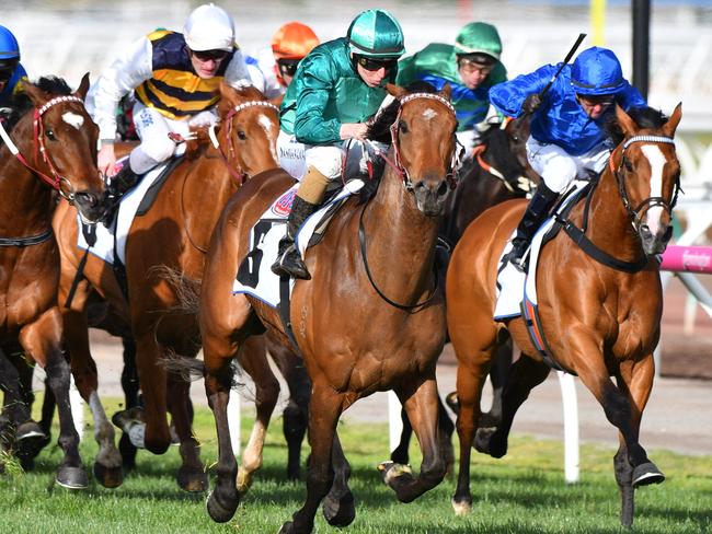 Humidor takes out the Group 1 Makybe Diva Stakes. Picture: Getty Images