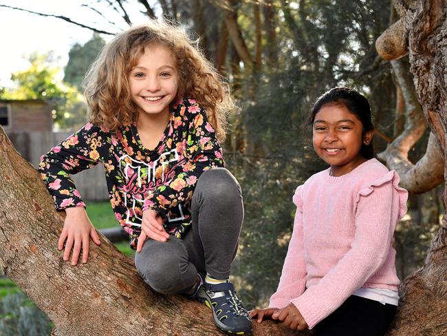 Eloisa Tilbury (9) and Rita Vontimitta (8) pose for a photo in the trees at Asquith Park, Sydney, Wednesday, July 11, 2018. (AAP Image/Joel Carrett)