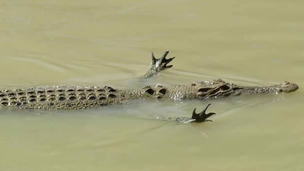 SA tourist Belinda Steindorf photographed a crocodile swimming a little differently at Cahills Crossing. Picture: Belinda Steindorf