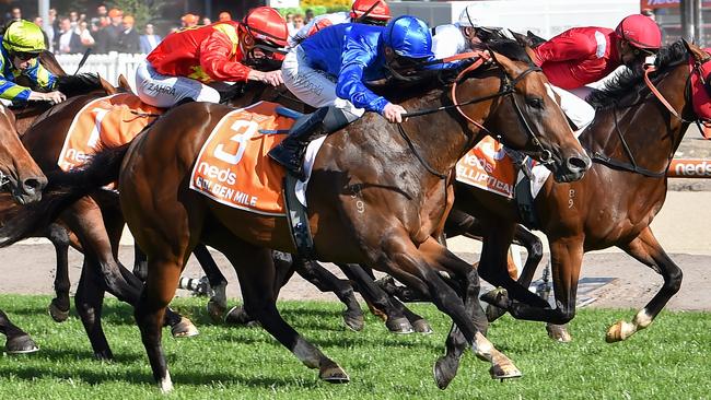 Caulfield Guineas winner Golden Mile is the class horse in the Callander-Presnell at Randwick. Picture: Getty Images