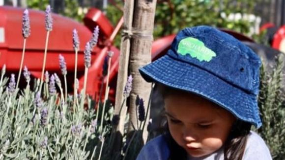 Child plays in lavender gardens at popular childcare centre, Orchard Early Learning, which is looking to expand to West Pennant Hills. Picture: supplied