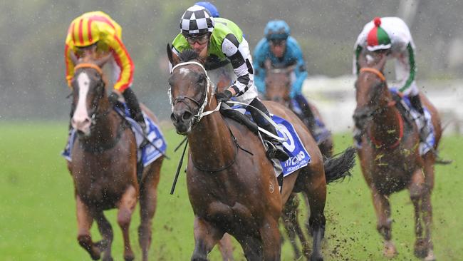 Imaging has trialled impressively ahead of his first-up run in the Doncaster Prelude. Picture: AAP Image