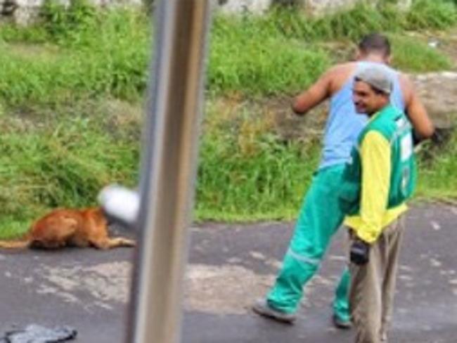 Disturbing ... the abandoned dog’s legs were broken. Picture: Facebook/Xuxa