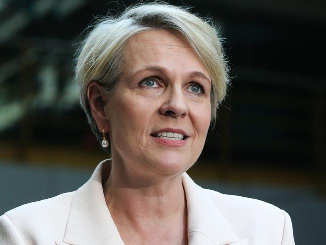 Minister for the Environment Tanya Plibersek. Picture: NewsWire / Gaye Gerard