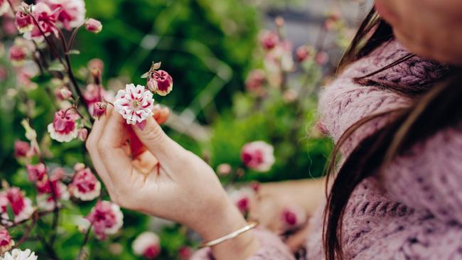 Secrets from the Flower Farm helps readers kick start their own beautiful garden. Picture: Christopher Morrison