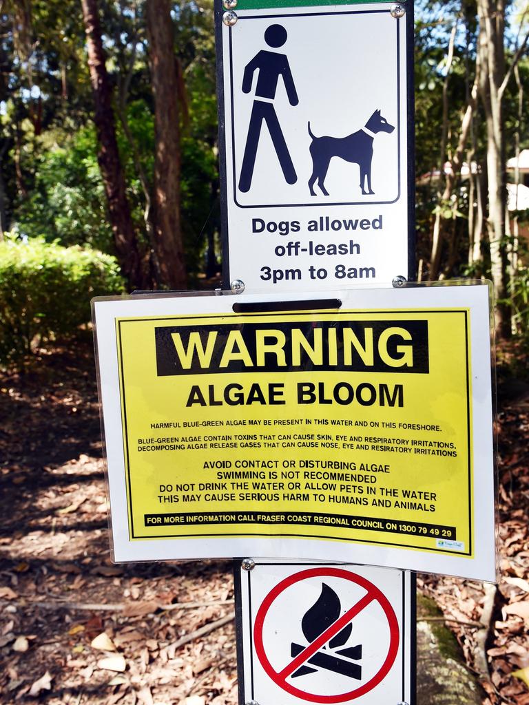 A warning sign at the scene of a previous algae bloom on Dundowran Beach.