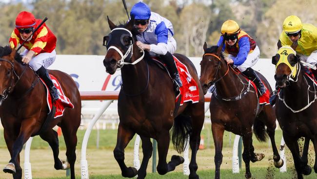 Ming Dynasty Stakes winner Coastwatch (white and blue silks) joins Giannis in the Golden Rose. Picture: Getty Images