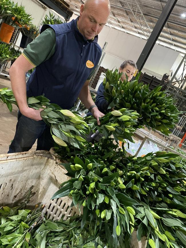 Tough call: Rob de Wit of Sunny Hill Flowers at Silvan bins perfectly good lilies at Silvan on Monday. Picture: James Wagstaff