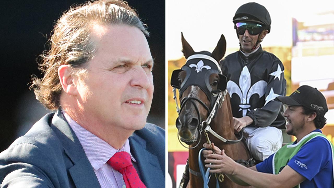 ‘It would mean a lot’: Freedmans chase emotional Magnatear win