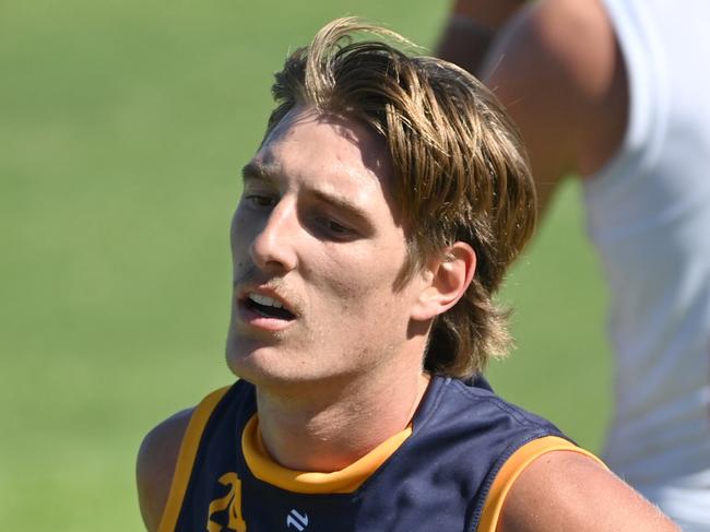 The Lowdown: Is under-the-radar gun the Crows’ best defender?