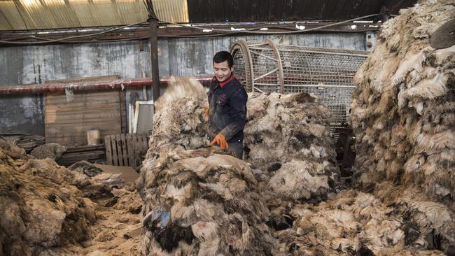 Sheep skins being processed at the Jinquan Fur and Leather Company in Xinji, Hebei Province.