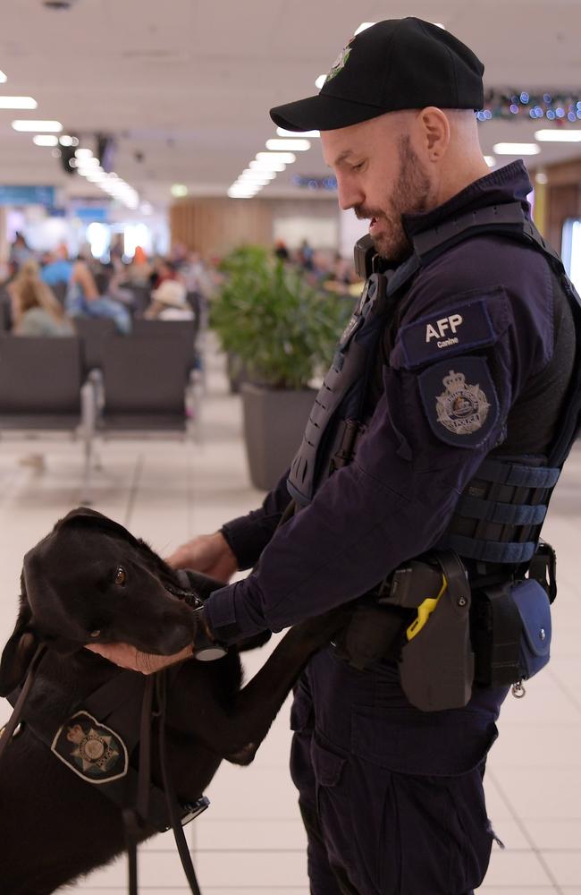 Australian Federal Police canine team will increase patrols at Australian airports this summer. Picture: (A)manda Parkinson