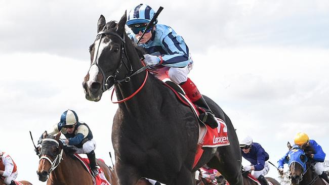 Onesmoothoperator (USA) ridden by Craig Williams wins the Ladbrokes Geelong Cup at Geelong Racecourse on October 23, 2024 in Geelong, Australia. (Pat Scala/Racing Photos via Getty Images)