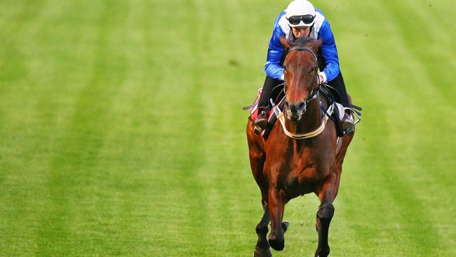 MELBOURNE, AUSTRALIA - OCTOBER 23: Hugh Bowman rides Winx during Breakfast with the Best at Moonee Valley Racecourse on October 23, 2018 in Melbourne, Australia. (Photo by Michael Dodge/Getty Images)