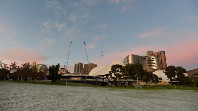 A file photo of frost at Elder Park. Picture: Naomi Jellicoe