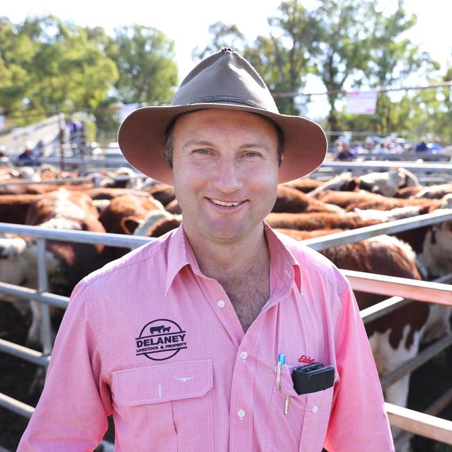 West Gippsland livestock agent Anthony Delaney at the recent Mountain Calf Sales. Picture: Zoe Phillips