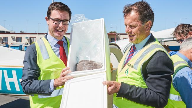 Federal water minister David Littleproud and SA primary industries minister Tim Whetstone hold a container with sterile flies, part of the countermeasures to the fruit fly outbreak. Picture: AAP / Matt Loxton