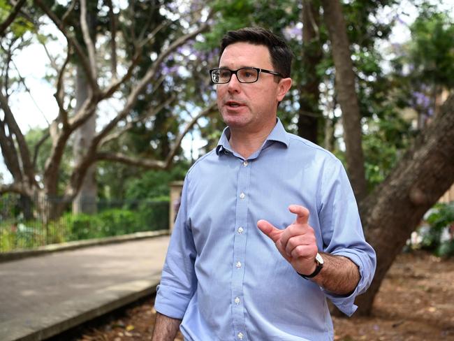 Leader of the National Party David Littleproud speaks during a press conference in Brisbane on Wednesday. Picture: NCA NewsWire / Dan Peled