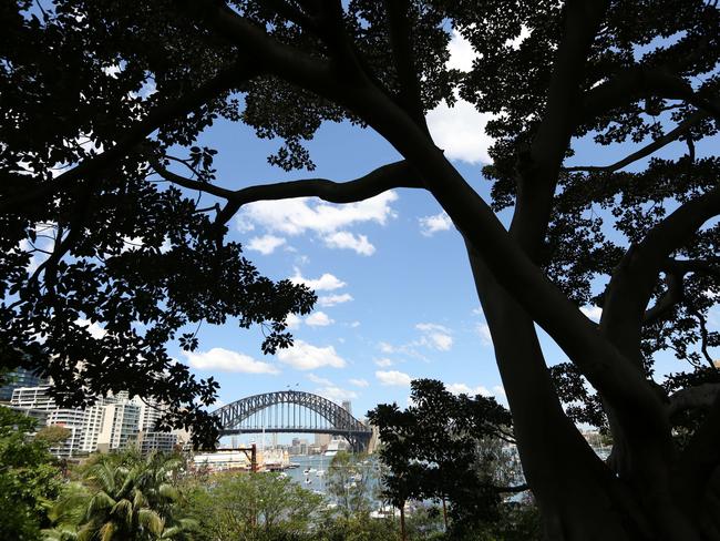 Wendy Whiteley's Secret Garden is a tourist attraction. Photo: Bob Barker.