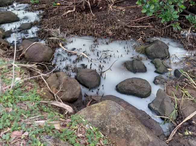 Rifle Range Beach water quality concern.