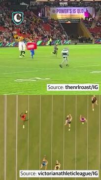 NRL mascots vs Gout Gout