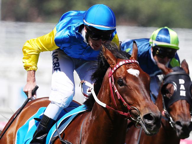 Blue Diamond race day at Caulfield. Race 5. The Futurity Stakes over 1400 meters.  Black Heart Bart ridden by Brad Rawiller wins the group 1 Futurity stakes  .Pic : Michael Klein