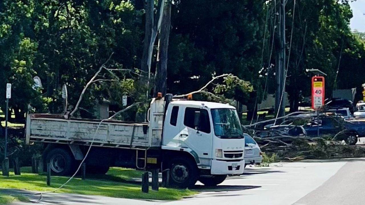 Woman trapped in car near school after tree crushes power lines