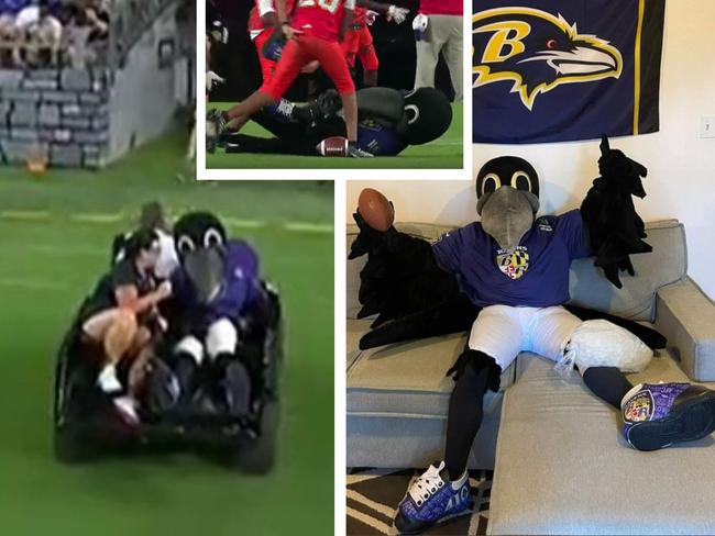 Poe the Baltimore Raven was sidelined with a knee injury. Photo: Twitter