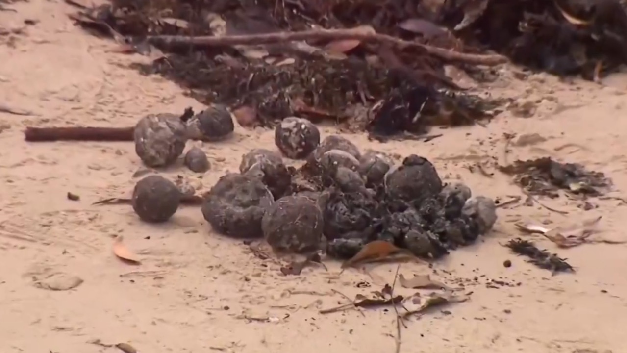 Sydney beaches re-opened after tar balls wash ashore