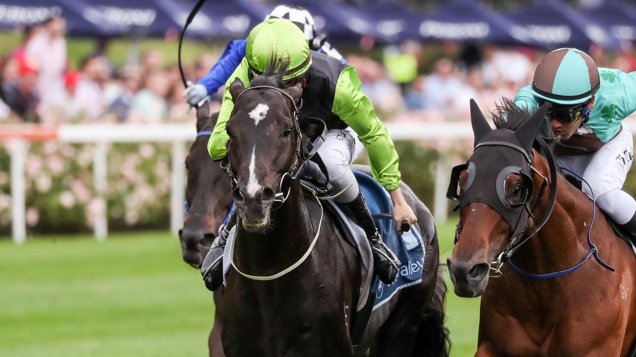 Persan is the class stayer in the Listed JRA Plate at Flemington on Saturday. Picture: Racing Photos via Getty Images