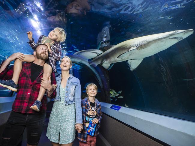 Stacey Warwick and Mark Evans with their sons Theo 6, and Jet 9, in the ocean tunnel at SeaLIFE Mooloolaba.