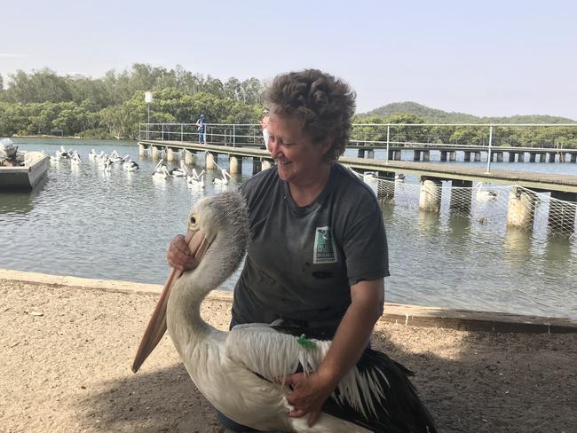 The self-styled “Pelican Lady” (pictured) became stuck in the mud. (File image)