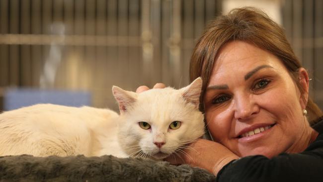 Veterinarian nurse Sandy Abrahams said Monty was so lucky to have the local community rallying to try and catch him to remove the tin can from his head. Picture: Robert Pozo