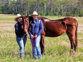 Kara Mielczarek and Ashleigh McGrath with Owen the Rescue Horse. Picture: Contributed