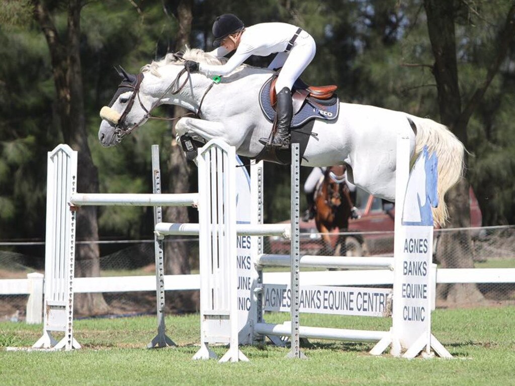 The 16.3hh grey stallion Bellhaven Coraldo effortless clears a triple bar fence. Image credit: Bellhaven Horse Stud.