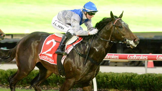 Angel Capital makes his first Queensland start on Saturday. Picture: Ross Holburt—Racing Photos via Getty Images.