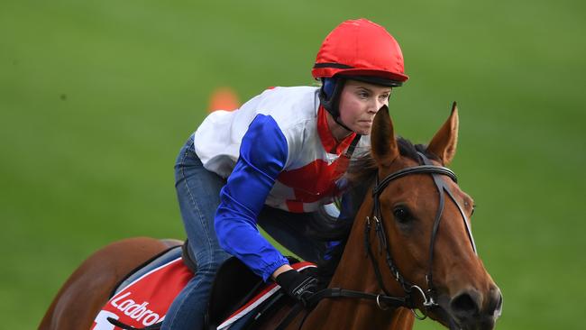 Savvy Coup is galloped at Moonee Valley racecourse in Melbourne, Tuesday, October 23, 2018. (AAP Image/Julian Smith) NO ARCHIVING, EDITORIAL USE ONLY