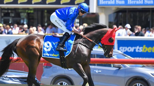 Expulsion ridden by Billy Egan on the way to the barriers prior to the running of the Sportsbet Blue Diamond Preview (F)(Chute) at Sportsbet Sandown Lakeside Racecourse on January 25, 2025 in Springvale, Australia. (Photo by Pat Scala/Racing Photos via Getty Images)