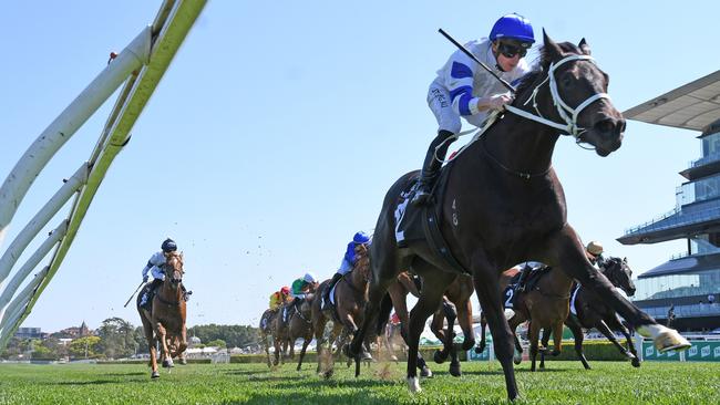 Magic Millions favourite Shaquero looked sharp in a recent barrier trial. Picture: Steve Hart Photographics