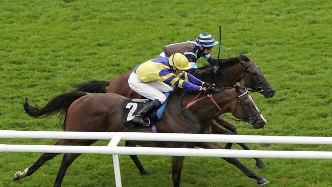 Levi Williams (brown and blue colours) riding here in 2019 has been charged with murder. (Photo by Alan Crowhurst/Getty Images)