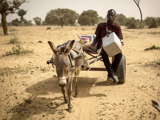 In Mali, West Africa, 29-year-old vaccinator Mamadou Kassé travels by donkey cart. Picture: UNICEF