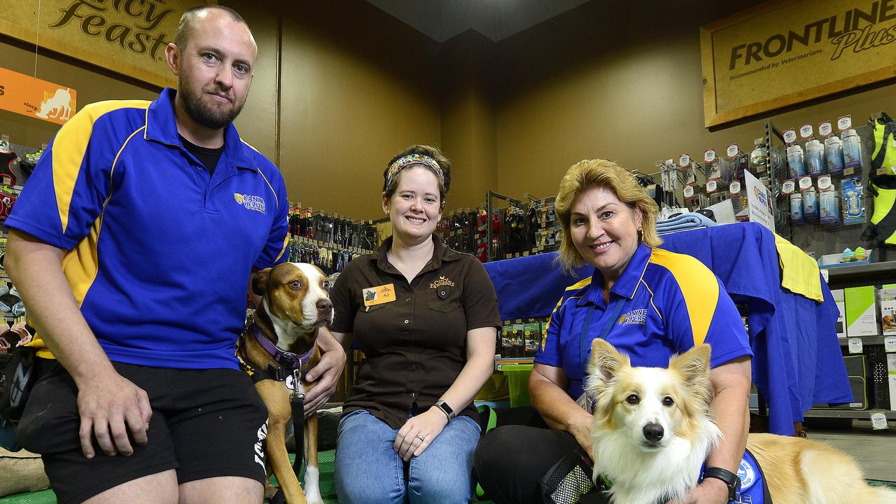 City Farmers: Canine Helpers for the Disabled raise $350 | Townsville ...