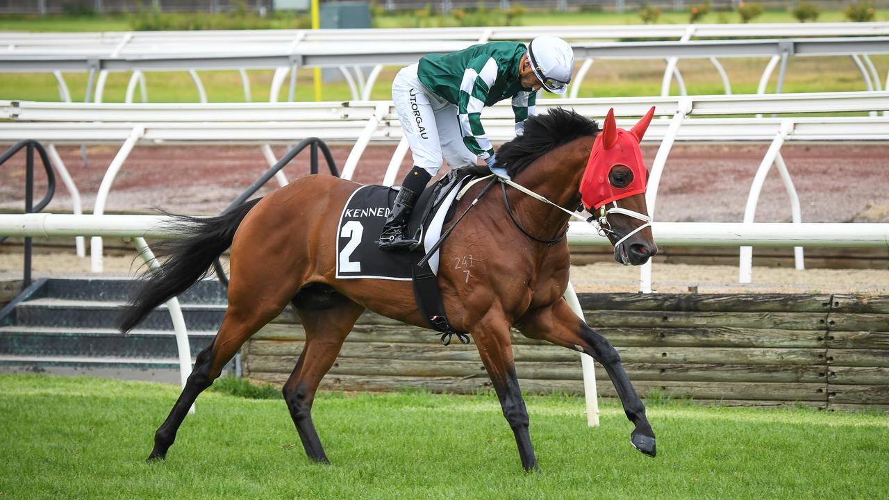 Kennedy Australian Guineas