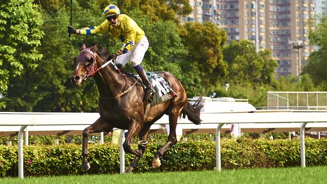 HONG KONG - APRIL 24: Hugh Bowman riding Werther during the Audemars Piguet QEII CUP in Hong Kong Racing at Sha Tin racecourse on April 24, 2016 in Hong Kong, Hong Kong. (Photo by Aitor Alcalde/Getty Images)