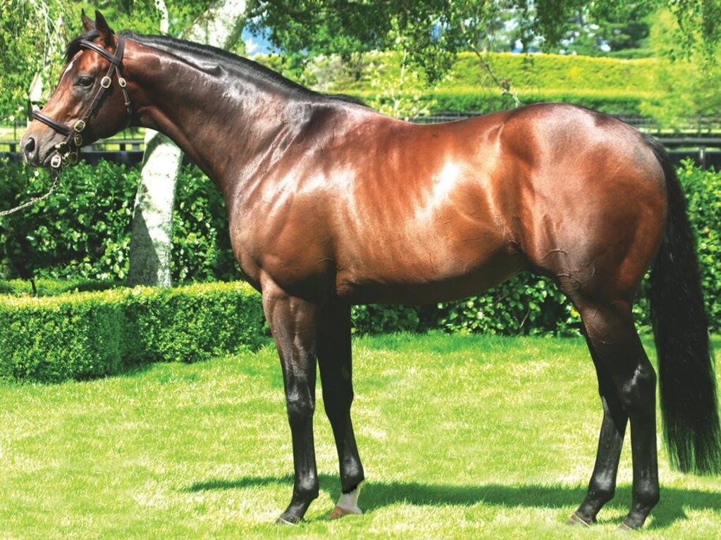 Power of Oaklands Stud has already produced 11 stakes winners as a stallion.