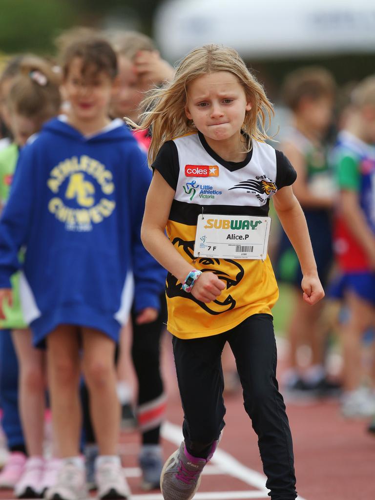 Geelong Little Athletics Pictures Gallery Geelong Advertiser