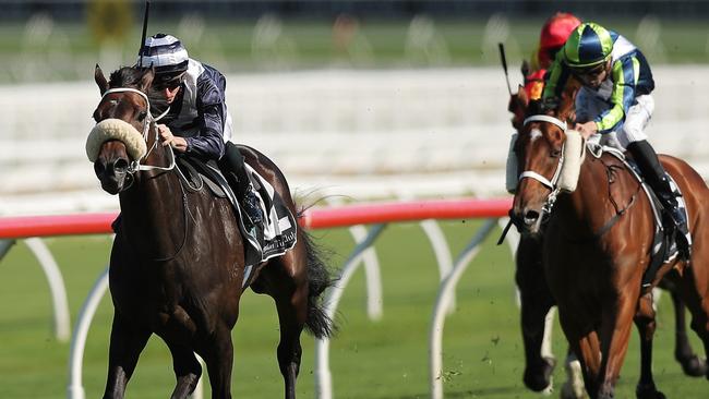 Kinane looked like he could have been anything after winning the Frank Packer Plate. Picture: Getty Images