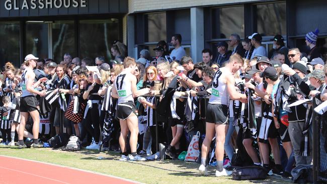 Few clubs can pack out a training session like Collingwood. Picture: Alex Coppel