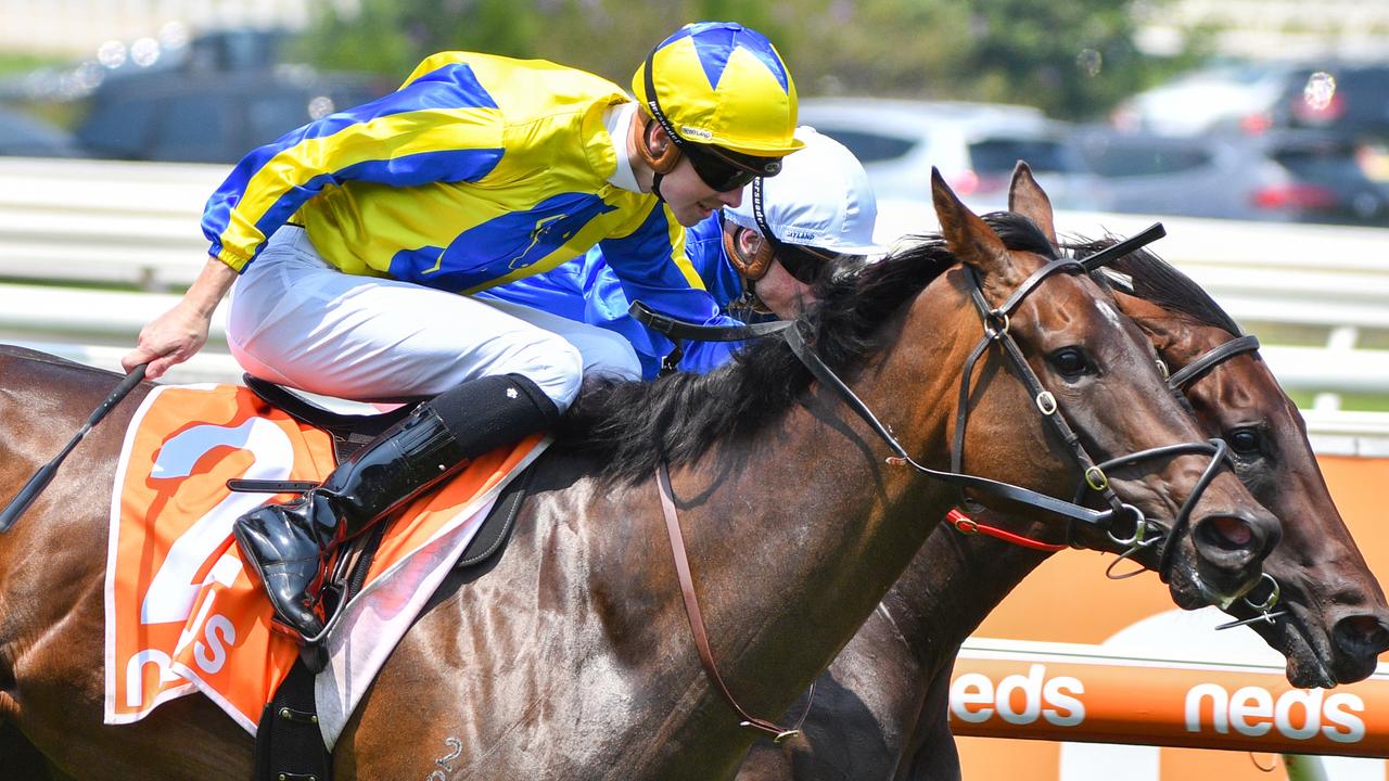 How Womantic defied a betting to drift to win the Kevin Hayes Stakes. Picture: AAP