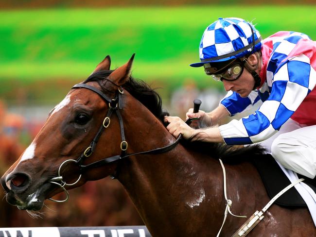 Fell Swoop and Blake Shinn combine to win at Rosehill midweek races in February. Picture: Mark Evans